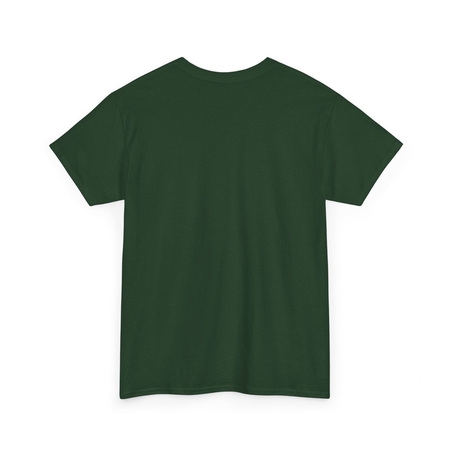 Inspirational Mountain Tee, Faith-Based T-Shirt, Jeremiah 29:11 Shirt, Unisex Cotton Tee, Spiritual Gift, Outdoor Adventure Top
